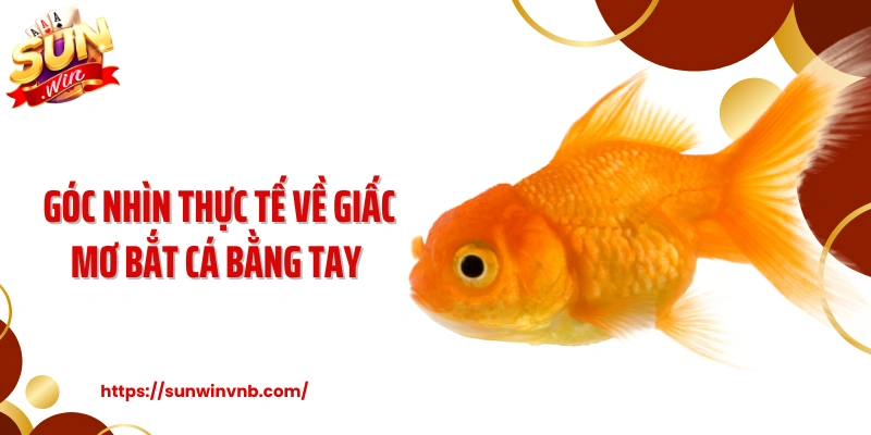 Góc nhìn thực tế về giấc mơ bắt cá bằng tay đánh con gì