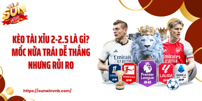 Kèo Tài Xỉu 2-2.5 Là Gì? Mốc Nửa Trái Dễ Thắng Nhưng Rủi Ro