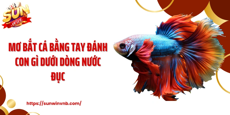 Mơ bắt cá bằng tay đánh con gì dưới dòng nước đục