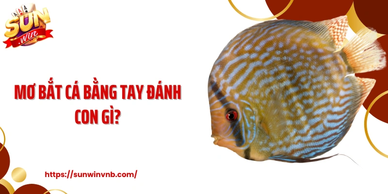 Mơ Bắt Cá Bằng Tay Đánh Con Gì Dễ Trúng Lớn Cùng Sunwin