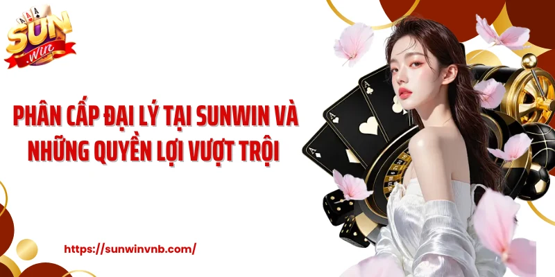 Phân cấp đại lý tại Sunwin và những quyền lợi vượt trội 