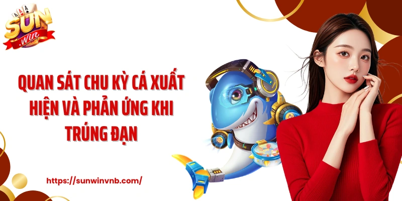 Quan sát chu kỳ cá xuất hiện và phản ứng khi trúng đạn